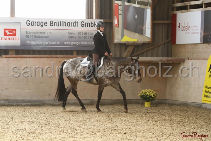 29-ApHC OHUS_013.jpg